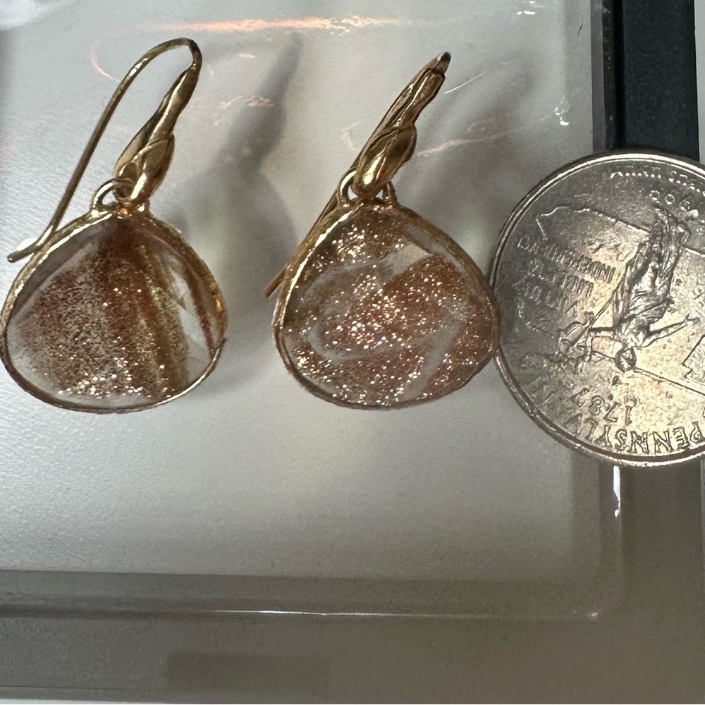 Stella and Dot - Elegant Gold and Brown Earrings